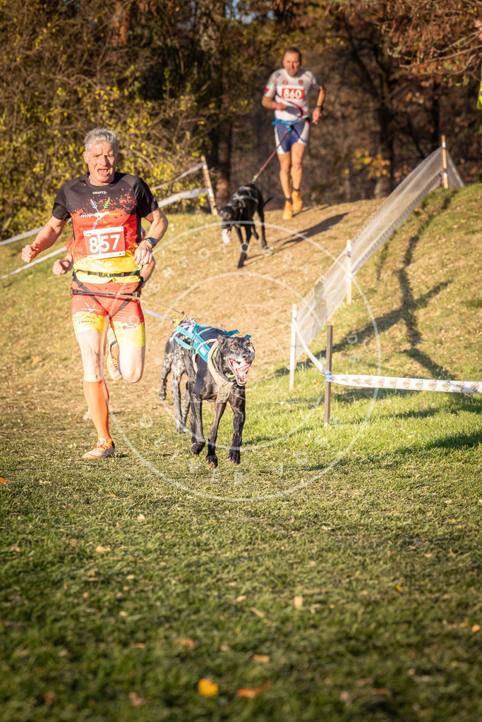 CaniXpix_0L8A0885 | Hundefotografie, Tierfotograf, Pfotenfotografie, Fotoshooting Hund, Hunde Portrait, Hundesport, Hundeportraits, Heideshooting, Hunde, Sportfotograf, Hundefotograf, Turnierhundsport, THS,  - Realisiert mit Pictrs.com