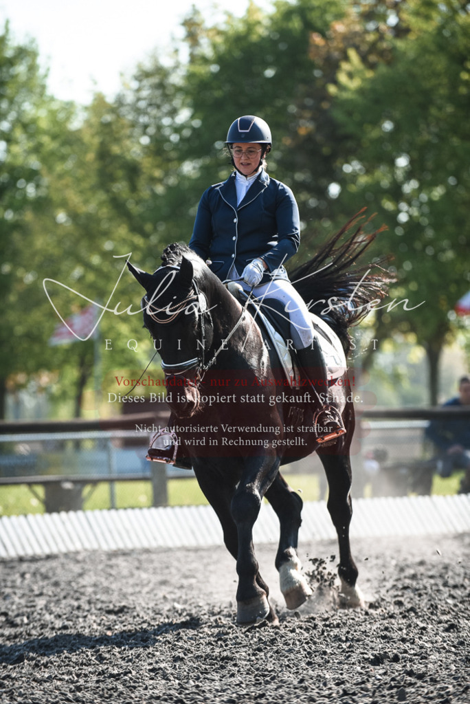 DSC_8465 | Pferde- und Turnierfotografie in Westsachsen. Pferdeportraits, Auftragszeichnungen und intuitive Kunst.