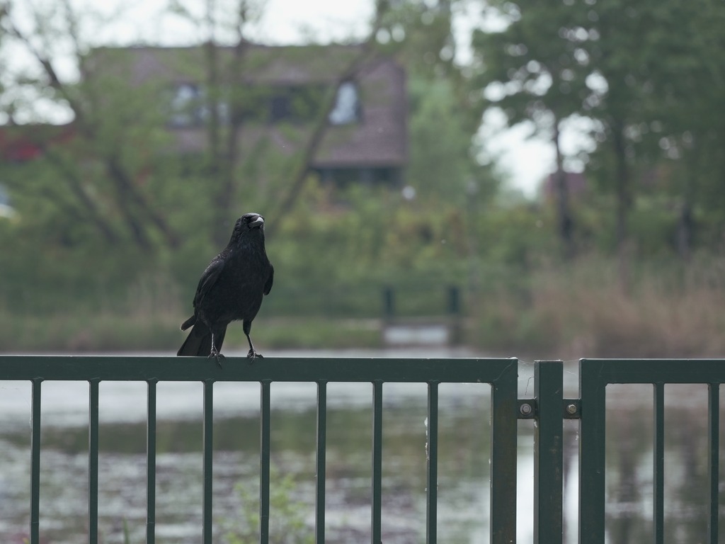 Z72_8848_hdr | Freier Fotograf aus Itzehoe. Kontakt via instagram.com/f0t0kunst/ - Realisiert mit Pictrs.com