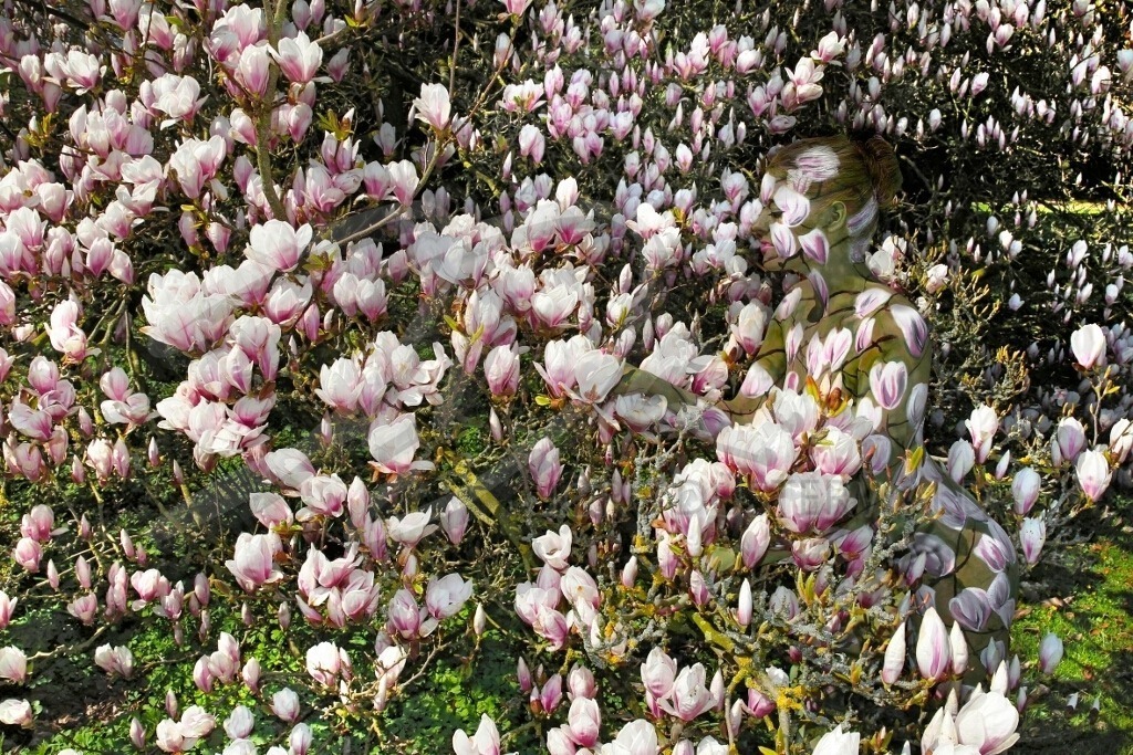 NatureArt-MAGNOLIEN_8469 | Die Magnolie ist nicht zu finden | #010 | Modell: Daniela | Foto: Tschiponnique Skupin - Realisiert mit Pictrs.com