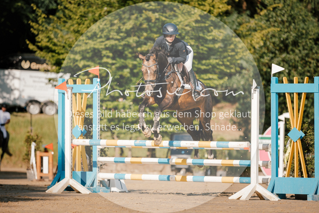 3I6A6263 | Stimmungsvolle Portraits und Reitsportfotografie im Ruhrgebiet und im Münsterland.

Pferdefotografie, Hundefotografie, Tierfotografie, Reportagen, Portraits von Tier und Mensch, Turnierfotografie in Bochum, Recklinghausen, Marl, Haltern am See, Dülmen.. - Realisiert mit Pictrs.com