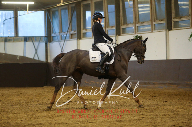 IMG_7115 | Turniersportfotografie; Pferdefotografie; Dressurfotografie