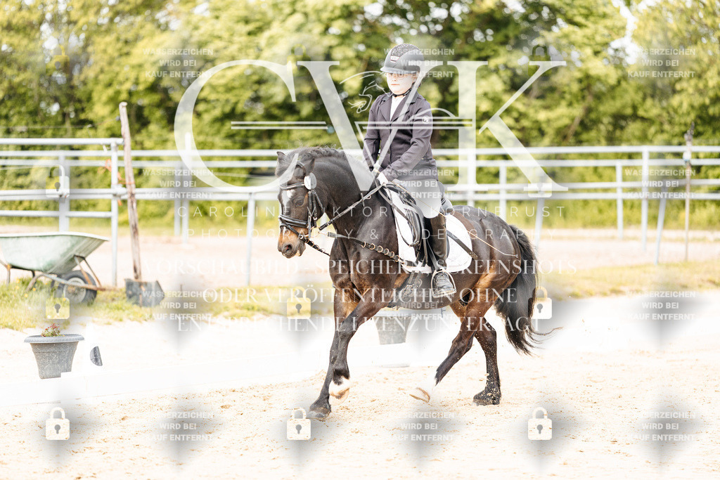 CK904371 | Turnierfotografie Pferdefotografie Trier Rheinland-Pfalz Pferdesport Reitsport Tierfotografie Sportfotografie Pferdevideo Pferdevideografie Equestrianvideography equestrianphotography  - Realisiert mit Pictrs.com