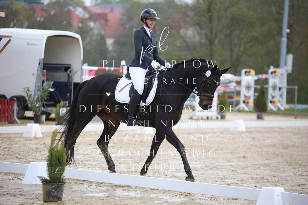 IMGT2899 | pl-fotografie