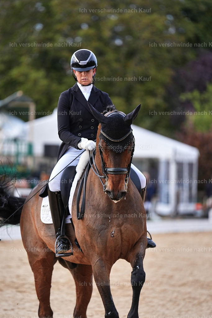 13-186-S___ -Marixx-7091 | working equitationturnier fotograf videograf stoibphotography marixx film working equitation deutschland reitsport turnierfotografie eventfotografie equestrian events