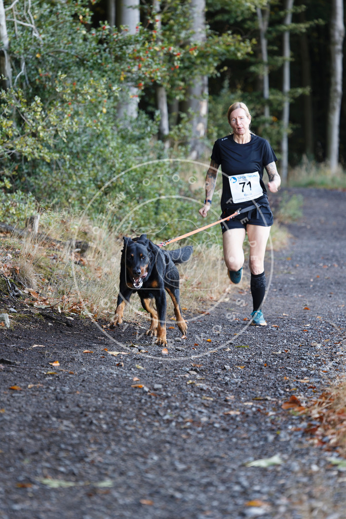 0L8A1972 | Hundefotografie, Tierfotograf, Pfotenfotografie, Fotoshooting Hund, Hunde Portrait, Hundesport, Hundeportraits, Heideshooting, Hunde, Sportfotograf, Hundefotograf, Turnierhundsport, THS,  - Realisiert mit Pictrs.com