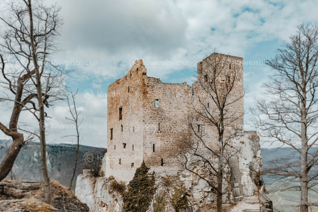 Ruine Reussenstein im Winter | löwenblicke | shop