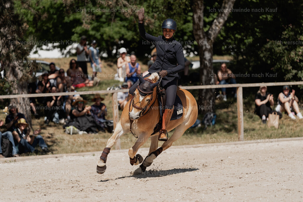 WE_SP_Stoib_308_PI2025_1634 | Pferd International München 2025
