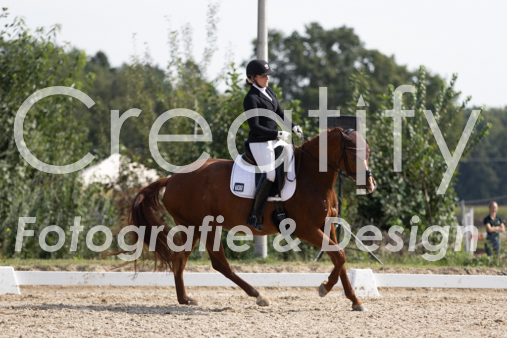 IMG_3471 | Creatify Fotografie