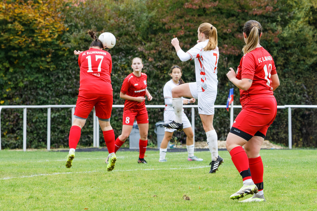 FCEFCH_251012_1503 | Fotopresso – Sportfotografie in Heidenheim & Umgebung. Professionelle Sportfotografie für unvergessliche Momente. Dynamische Action-Shots, emotionale Szenen & hochwertige Bilder. - Realisiert mit Pictrs.com