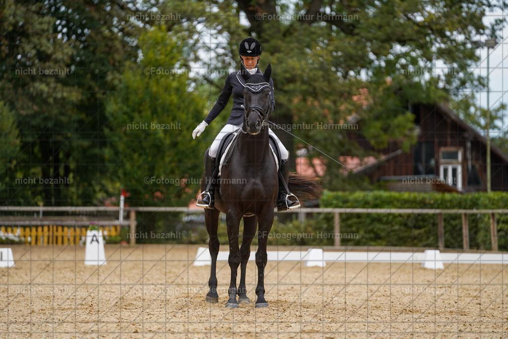 20231007-SN_00445 | Diessen am Ammersee, 2023, Dressur- und Springturnier, Reitsport, Turnierfotografie, Pferdebilder, Reitbilder, Turnierfotografen Bayern, Fotoagentur Herrmann