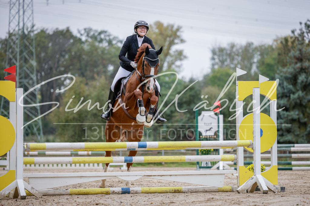 20251012-_3LI3242 | Tierfotografie Pferde, Hunde, Katzen, Haustiere.
Turnierfotografie Reitturniere, Reiten, Springreiten, Dressur in Hanau, dem Main-Kinzig-Kreis und dem Rhein-Main- Gebiet um Frankfurt