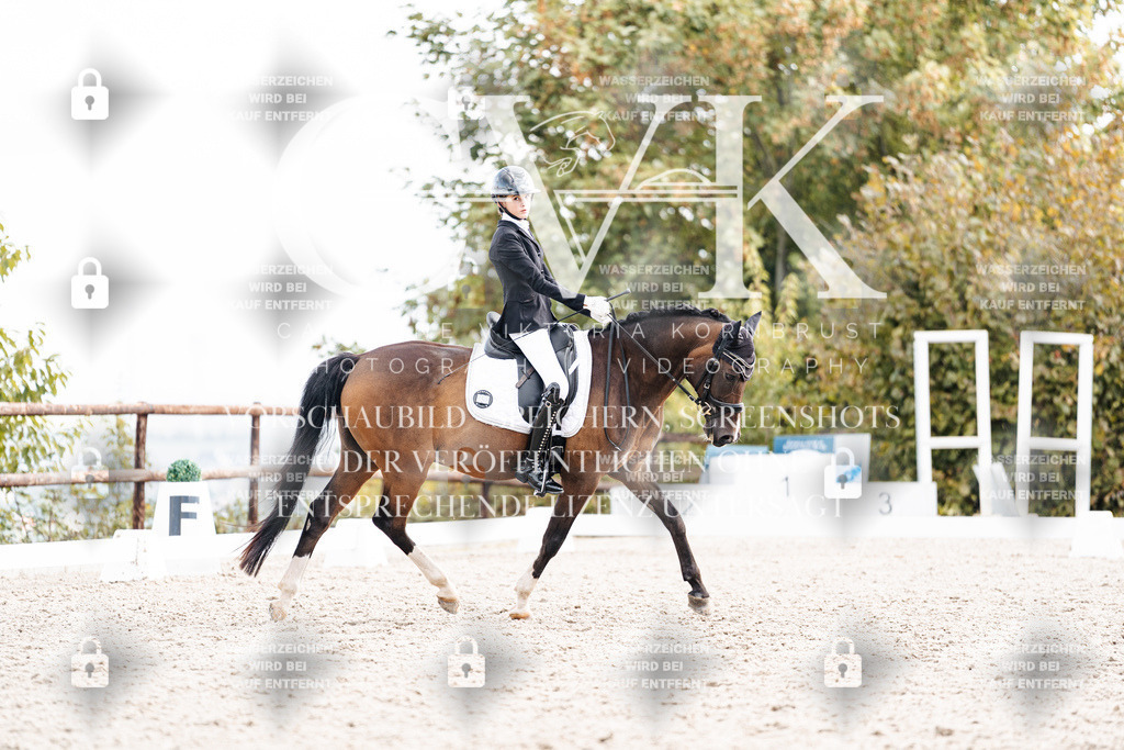 CK901619 | Turnierfotografie Pferdefotografie Trier Rheinland-Pfalz Pferdesport Reitsport Tierfotografie Sportfotografie Pferdevideo Pferdevideografie Equestrianvideography equestrianphotography  - Realisiert mit Pictrs.com