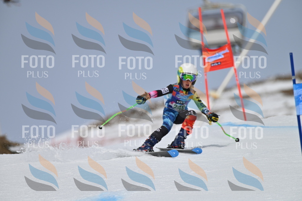 BGV_4930 | holidayphoto