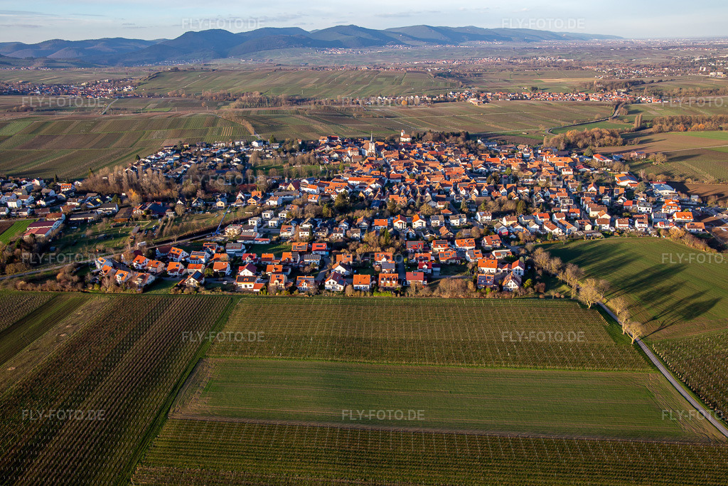 Luftbild: Ortsansicht von Süden im Ortsteil Mörzheim in Landau im Bundesland Rheinland-Pfalz in Deutschland. Foto: IMG_135792.jpg vom 18.01.2023 durch Werner Riehm/FLY-FOTO.deMörzheim