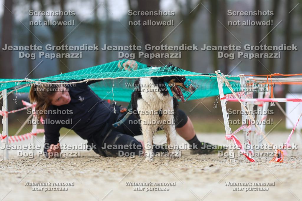 Dog Paparazzi - Strongdog North Mrz26-3711 | Dog Paparazzi Jeanette Grottendiek Fotografie & Videografie - Realisiert mit Pictrs.com