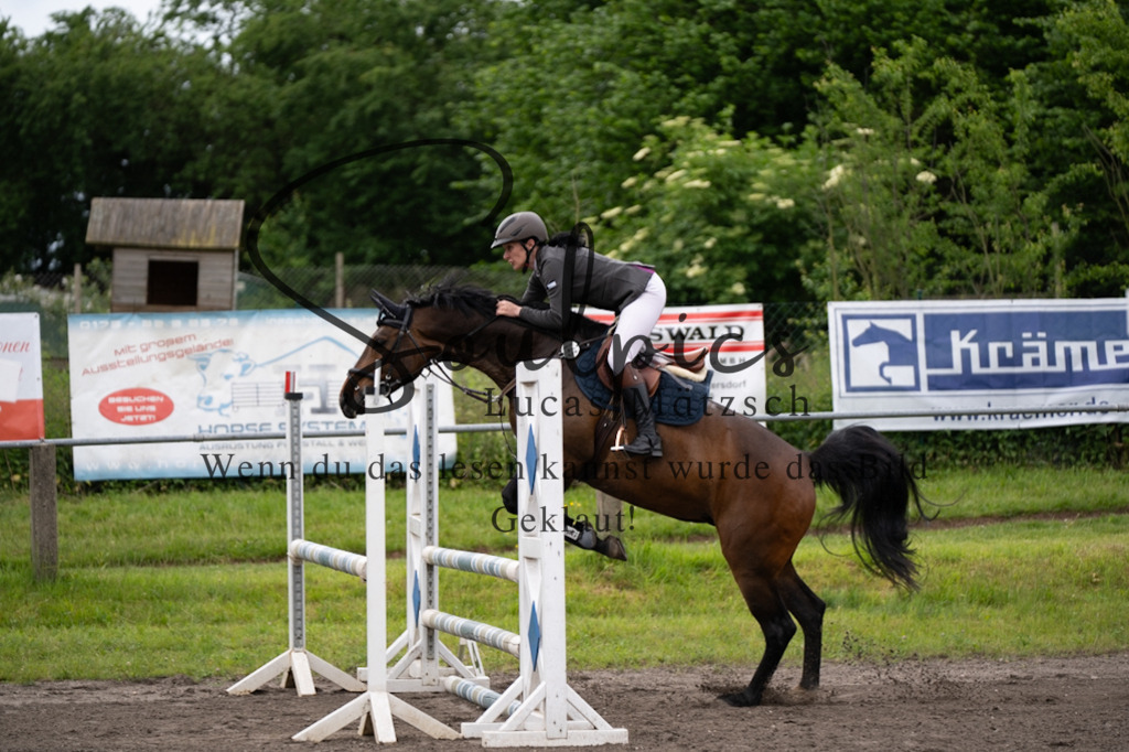 A7V03851 | Pferdefotograf