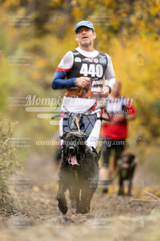 MompixPhotography_ICF_WC_2024_SA_Run_-447 | PayLife