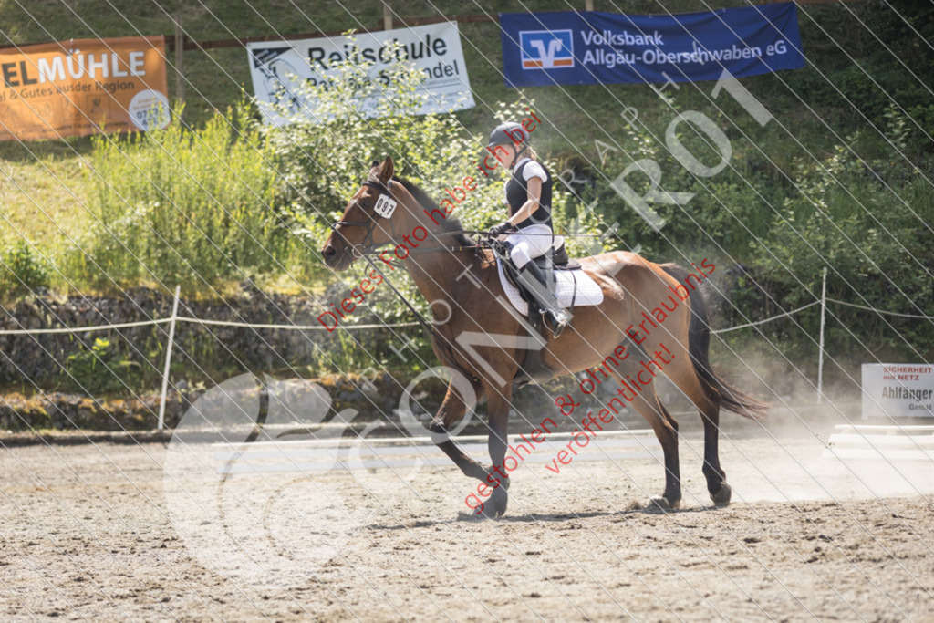 IMG_4568 | Sport-, Event- und Tierfotos in Profiqualität. Einfach auswählen, bestellen und herunterladen. Dein Moment – perfekt festgehalten.