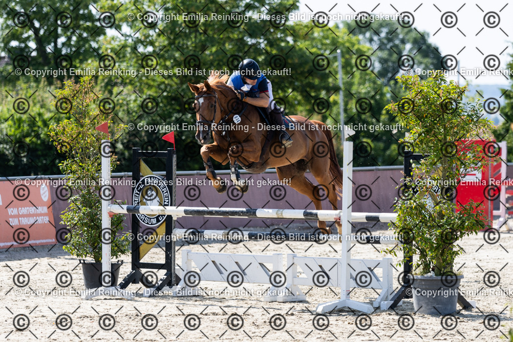 CL5A3100 | Emilia Reinking Fotografie - Realisiert mit Pictrs.com