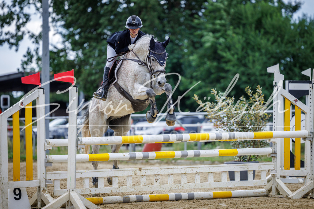 20260705-_3LI5201 | Tierfotografie Pferde, Hunde, Katzen, Haustiere.
Turnierfotografie Reitturniere, Reiten, Springreiten, Dressur in Hanau, dem Main-Kinzig-Kreis und dem Rhein-Main- Gebiet um Frankfurt