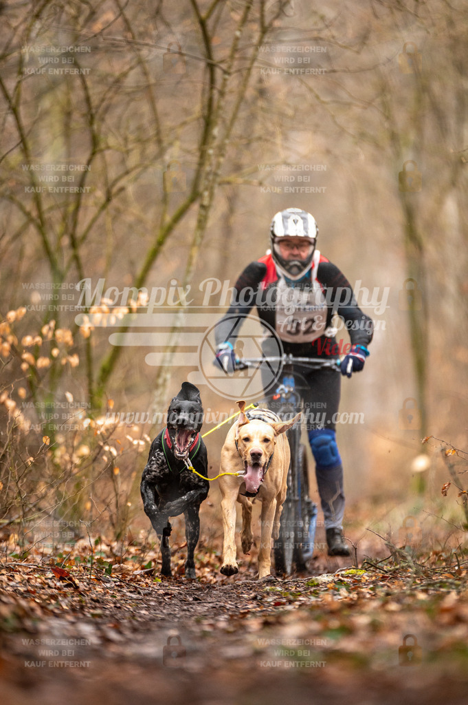 Reiat2023_SON_DS2_5km_2H-1 | mompixphotography