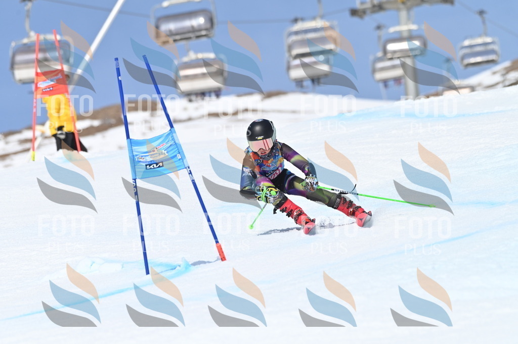 BGV_3263 | holidayphoto