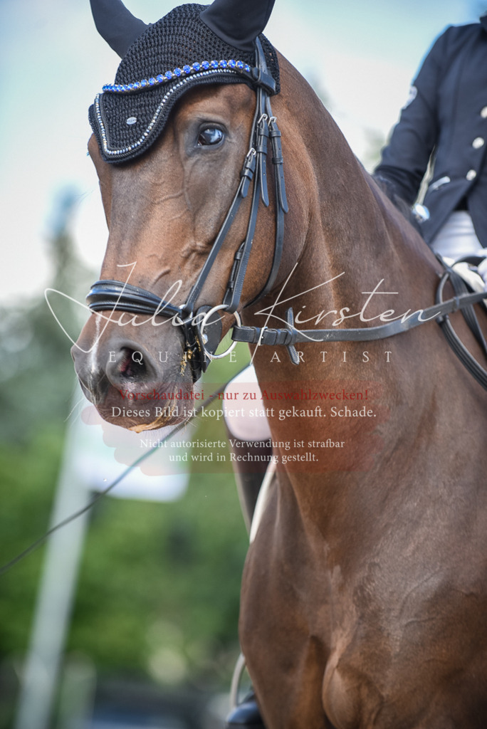 DSC_9414 | Pferde- und Turnierfotografie in Westsachsen. Pferdeportraits, Auftragszeichnungen und intuitive Kunst.
