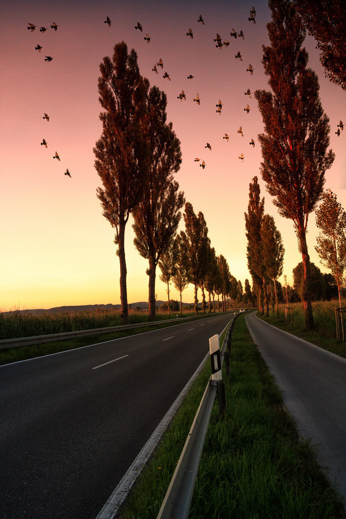 iznang 006 | Rothenburg ob der Tauber. Nur hier gibt es Exklusive und passend zur Jahreszeit Ihr Wandbild, T-Shirt, Tasse und alles was das Rothenburg Herz begehrt. - Realisiert mit Pictrs.com