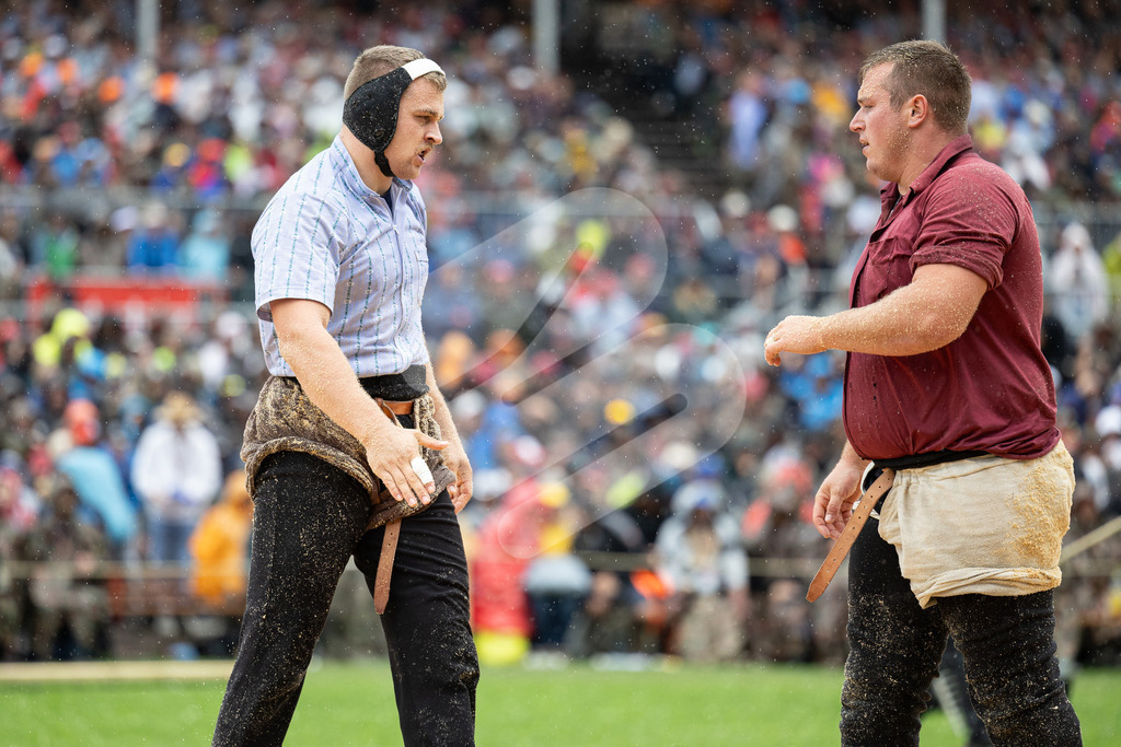 ESAF2025_04Gang_5435 | Die Schwinger des Schwyzer Kantonalen Schwingerverbandes: Fotos, die Dynamik und Leidenschaft festhalten, sowie emotionale Momente aus dem traditionellen Schwingsport zeigen. - Realisiert mit Pictrs.com