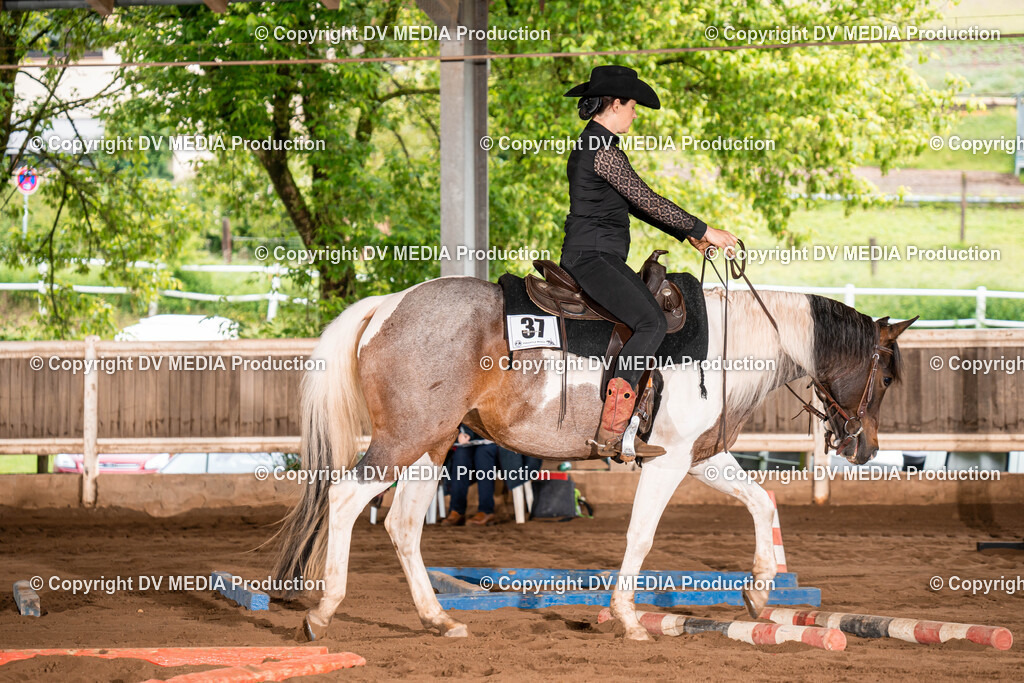 Erbach Tag 1-068 | dv-media-shop - Realisiert mit Pictrs.com