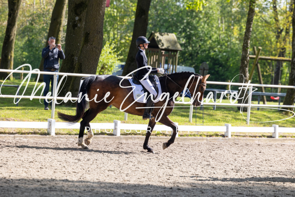 7I8A1666 | melanie-engelhardt-photography - Realisiert mit Pictrs.com