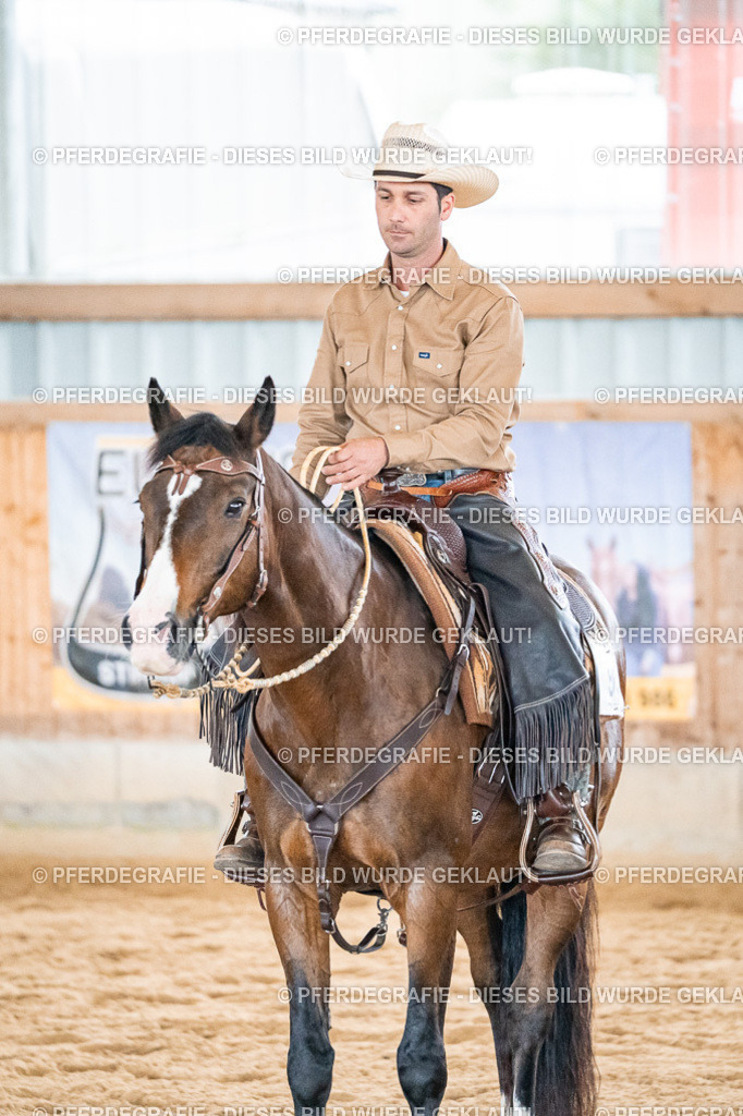 DSC00466 | Pferdegrafie