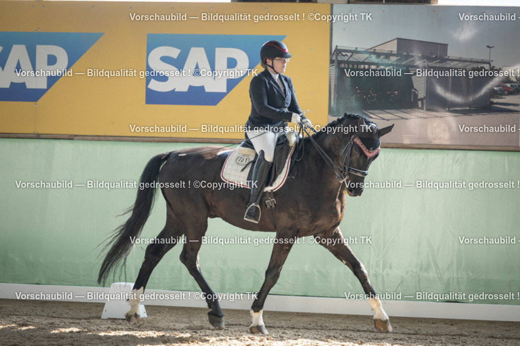 _D5A2696 | Emotionale Pferde- & People-Fotografie rund um Heidelberg, Leimen & Umgebung. Natürliche Fotos von Pferd, Mensch & Familie. Jetzt Termin sichern!