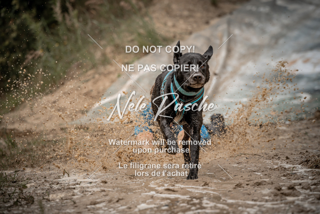nelerasche_sa1100-1200_31 | nelerasche