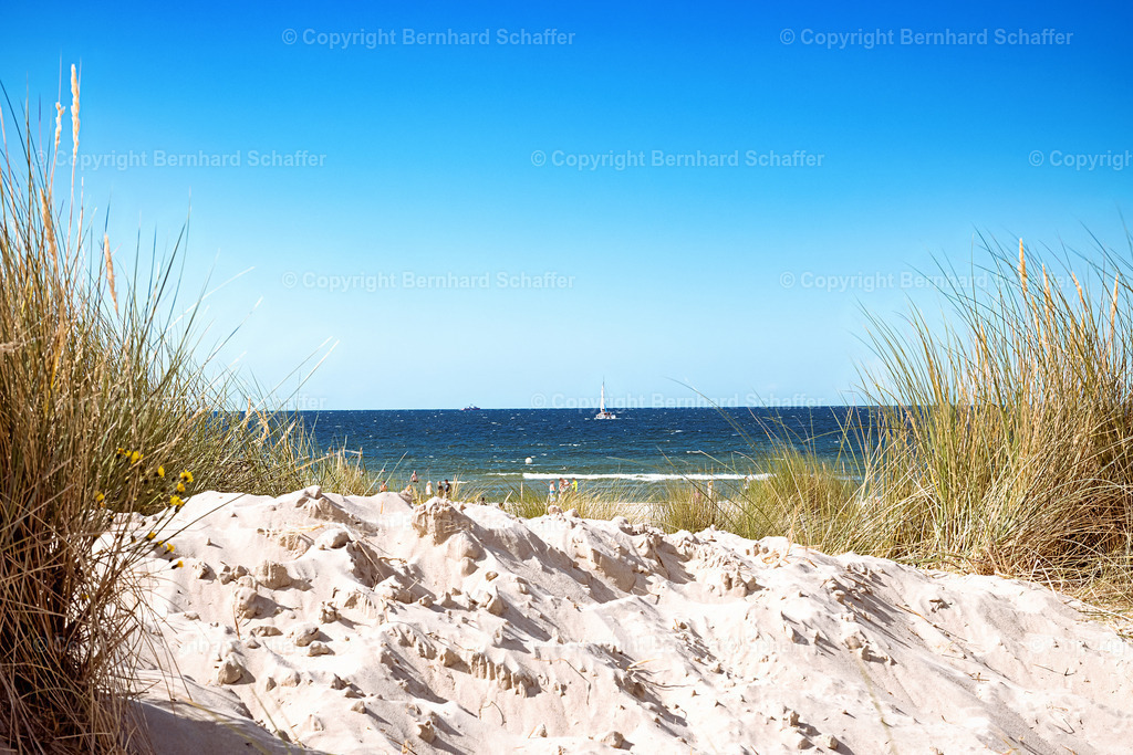 Dünenblick | Ein Blick durch die Sanddünen am Strand auf die Ostsee. - Realisiert mit Pictrs.com