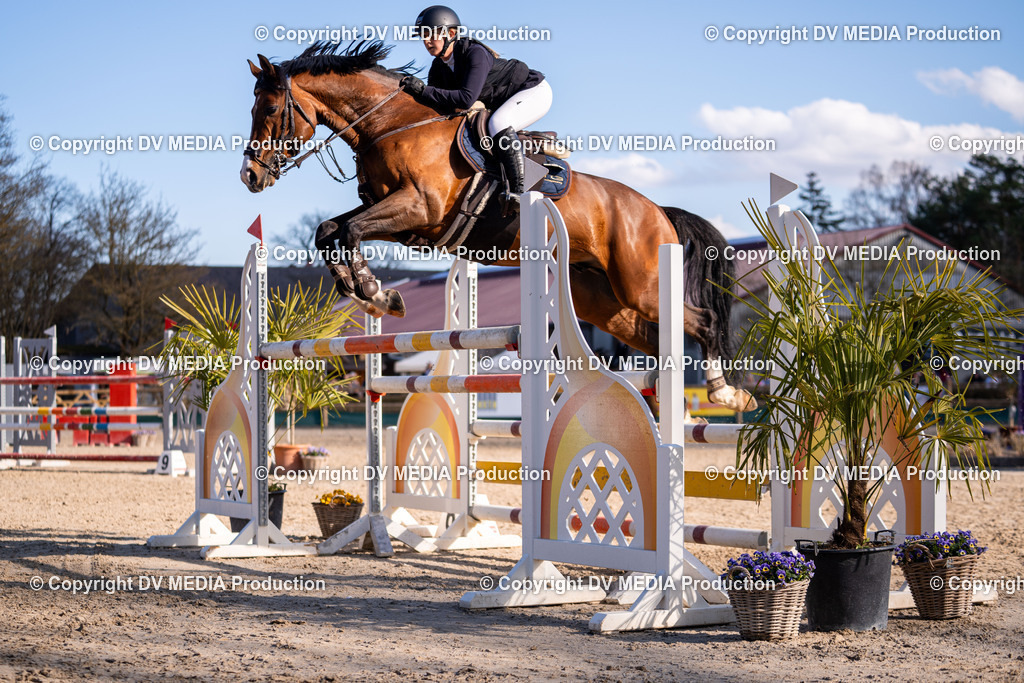 Kranichstein Tag 2-0980 | dv-media-shop - Realisiert mit Pictrs.com