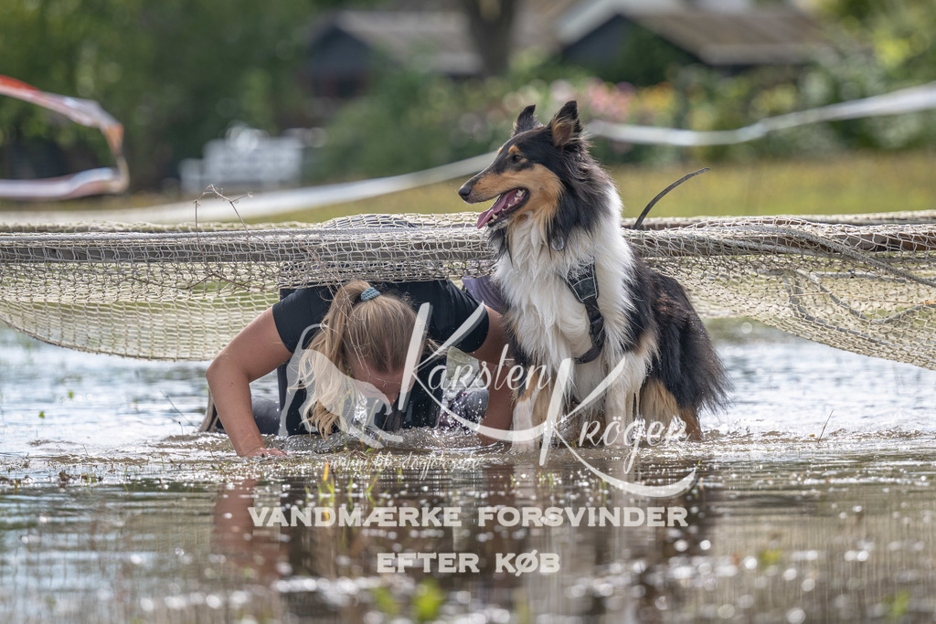 1334_ZZ90177 | kk-dogfotos