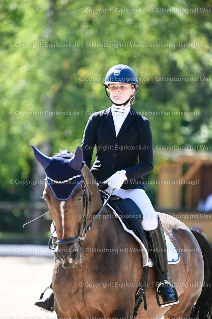 20230908_06_Dressur-L-Trense_0455 | equistock