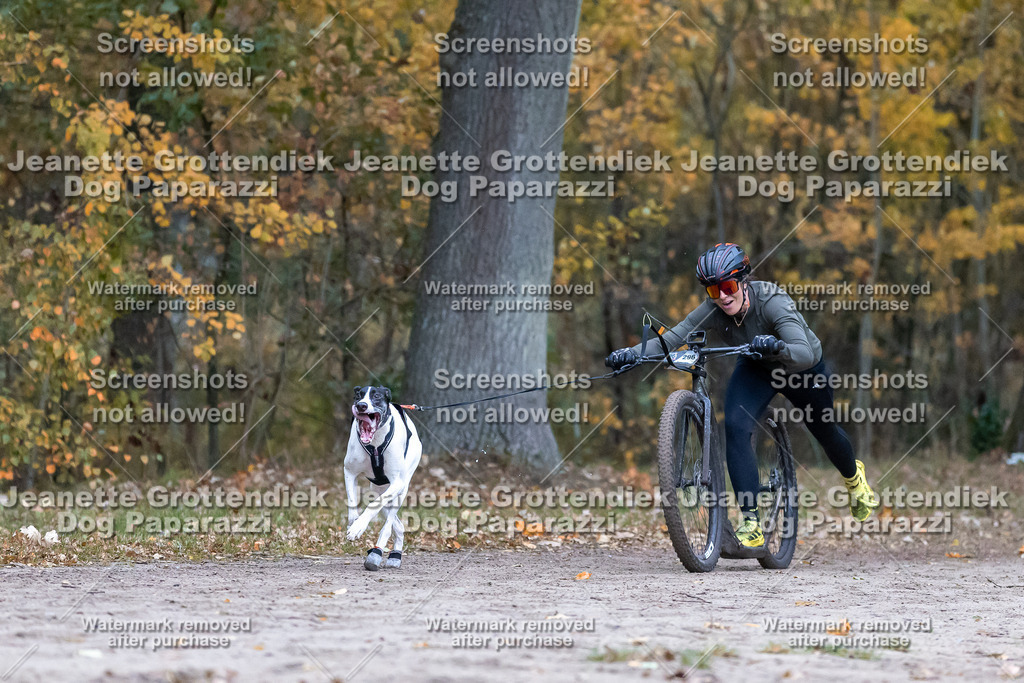 Dog Paparazzi - SD CaniX Championship 2025-83 | Dog Paparazzi Jeanette Grottendiek Fotografie & Videografie - Realisiert mit Pictrs.com