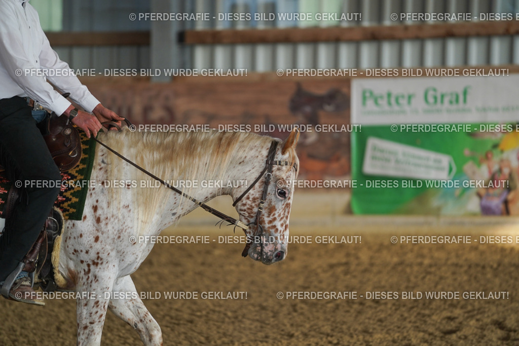 DSC08027 | Pferdegrafie