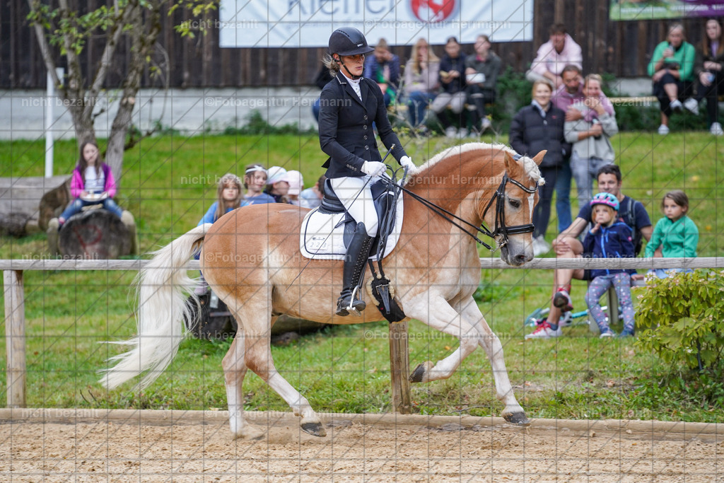 20231007-SN_00823 | Professionelle Turnier- und Reitsportfotografie - mit dem Finger am Auslöser. Pferdebilder aus dem Reitsport von den Turnierfotografen  Bayern , Pferdefotograf Bayern, Pferdeshooting Turnierbilder, Hochzeitsfotograf, Eventfotograf, Hochzeitsbilder