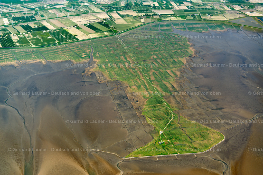 3801637 | Hamburger Hallig, Nationalpark Schleswig-Holsteinisches Wattenmeer