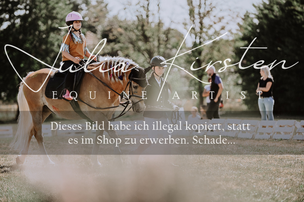 DSC_8885 | Pferde- und Turnierfotografie in Westsachsen. Pferdeportraits, Auftragszeichnungen und intuitive Kunst.