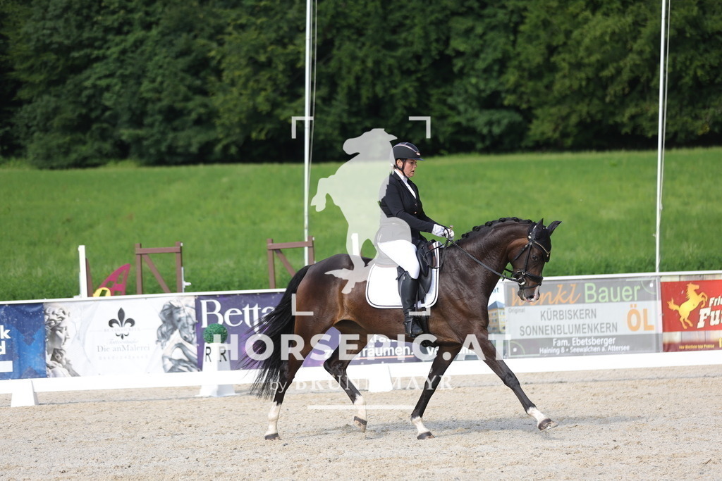 0P6A4726 | Willkommen bei Brunnmayr - Design & Fotografie – Ihrem Spezialisten für Reitturniere und Pferdeveranstaltungen in Oberösterreich, Salzburg und Bayern! Seit über 17 Jahren sind wir leidenschaftlich dabei.