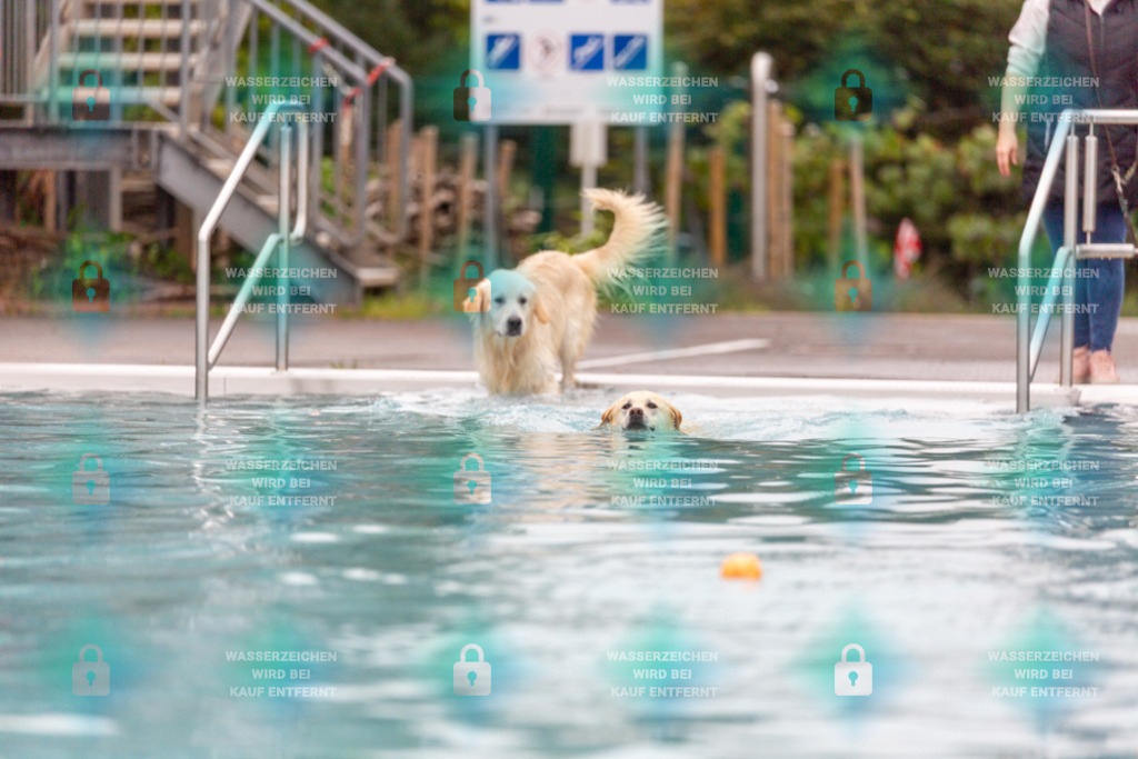 _HP_7114_1000o | HetPix, HetPix Fotodesign, Fotografie, Fotodesign, Webshop, Sportfotografie, Portraitfotografie, Onlineshop, Sportfotografie, Polch, Motorsportfotografie, Eventfotografie