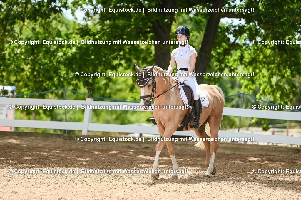 20230715_09_Dressur-WB_0447 | equistock