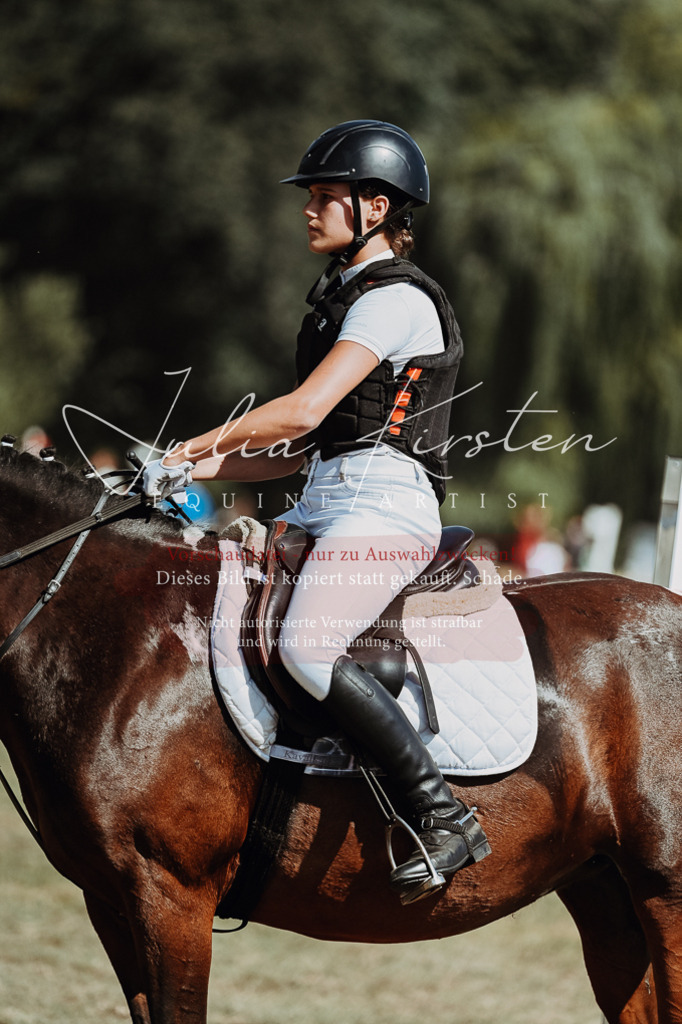 DSC_9893 | Pferde- und Turnierfotografie in Westsachsen. Pferdeportraits, Auftragszeichnungen und intuitive Kunst.