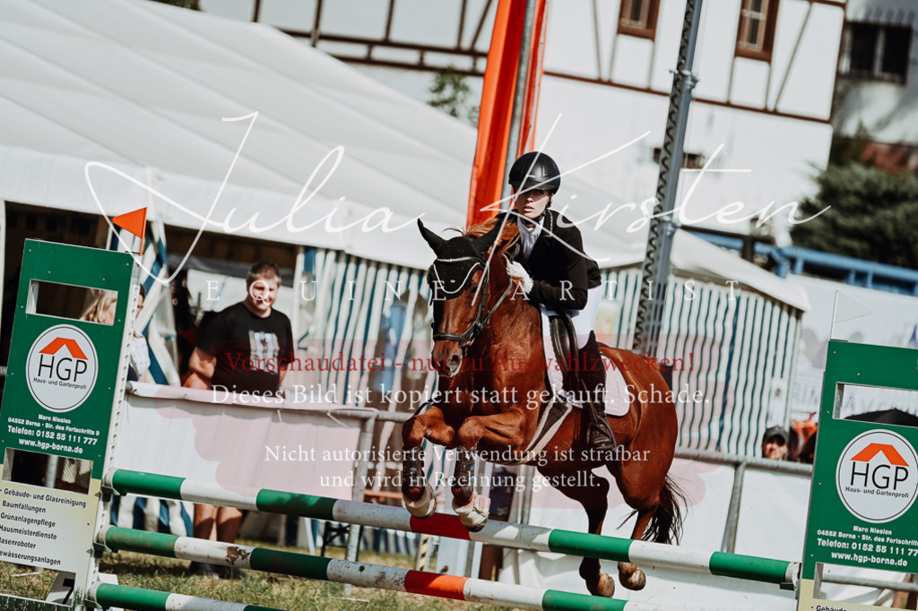DSC_9376 | Pferde- und Turnierfotografie in Westsachsen. Pferdeportraits, Auftragszeichnungen und intuitive Kunst.
