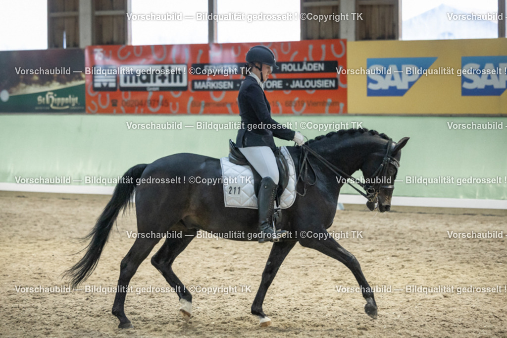 _D5A3685 | Emotionale Pferde- & People-Fotografie rund um Heidelberg, Leimen & Umgebung. Natürliche Fotos von Pferd, Mensch & Familie. Jetzt Termin sichern!